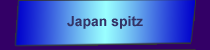 JapanSpitz